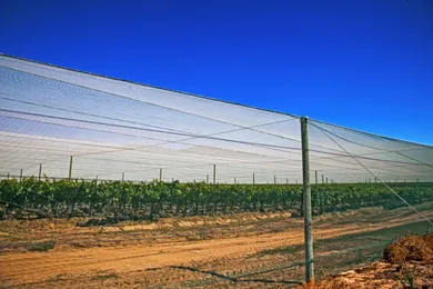 How Shade Nets Protect Crops from Harsh Weather Conditions How Shade Nets Protect Crops from Harsh Weather Conditions
